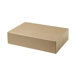 Arkivbox SS628107 för A4 brun 240x80x315mm