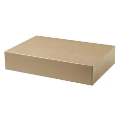 Arkivbox SS628107 för folio brun 255x55x380mm