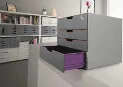 Blankettbox Durable Varicolor SAFE grå A4