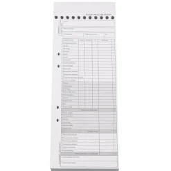 Blankett Lönespecifikation Med 2 Kopior 105x260mm