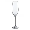 Champagneglas Rona Yarra Ø43x230mm 20cl