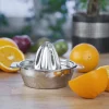 Citronpress rostfri