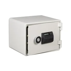 Dokumentskåp Altikon ES 15. 60P Brandsäkert 60 min ljusgrå 296x390x320 mm 27 kg