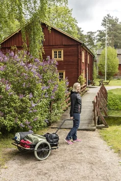 Dragkärra Med Träflak