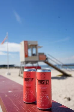 Dryck Mustly Blåbär 33cl exkl pant