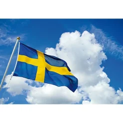 Flagga Svensk 300x200cm