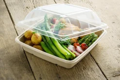 Form Bagasse 1400ml 230x230x40mm