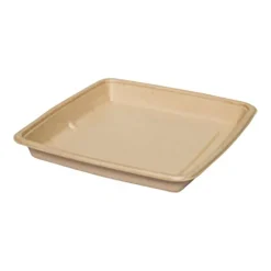 Form Bagasse 1000ml 230x230x30mm