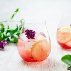 Gin & Tonicglas Riedel
