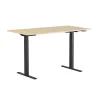 Höj-& Sänkbart skrivbord Lotus 2 motorer Sva/Ek 1200x800mm