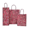 Julpåse Skimmia Flaska 130x82x359mm