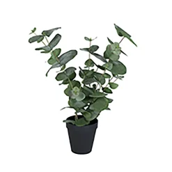 Konstgjord Växt Eucalyptus Inkl Kruka Höjd 500mm