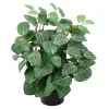 Konstgjord Växt Fittonia Höjd 340mm