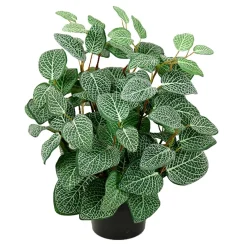 Konstgjord Växt Fittonia Höjd 340mm