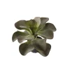 Konstgjord Växt Kalanchoe H250