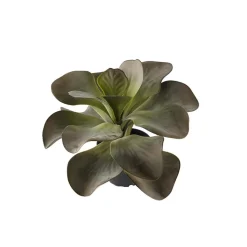 Konstgjord Växt Kalanchoe H250