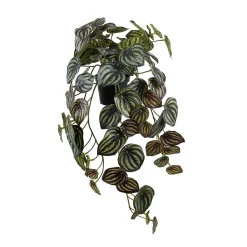 Konstgjord Växt Peperomia Höjd 450mm