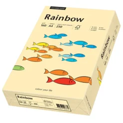 Kopieringspapper Rainbow chamois A4 160g