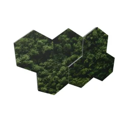 Ljudabsorbent Honey 6-Pack Moss