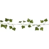 Ljusslinga Star Trading Ivy