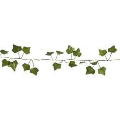 Ljusslinga Star Trading Ivy