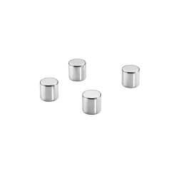 Magnet Dahle Megadym Cylinder Silver Ø10mm