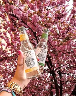 Mixers Double Dutch Tonic Double Lemon 20cl