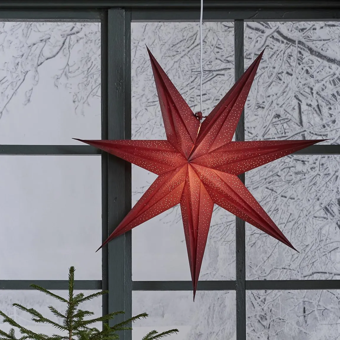 Pappersstjärna Star Trading Holly Röd 60cm