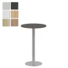 Pelarbord Lanab Björk/Silver Ø700 H1100mm