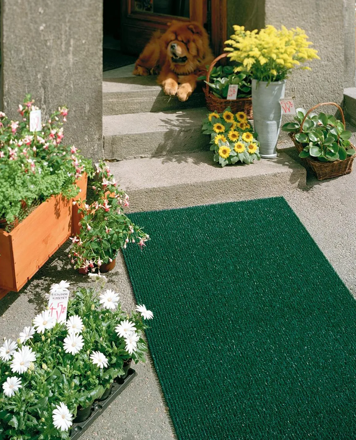 Skrapmatta Matting Astro Turf 55x90cm