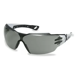 Skyddsglasögon Uvex 9198.237 Pheos CX2 Grå