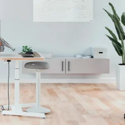 Standing Stool Leitz Ergo Active Ljusgrå