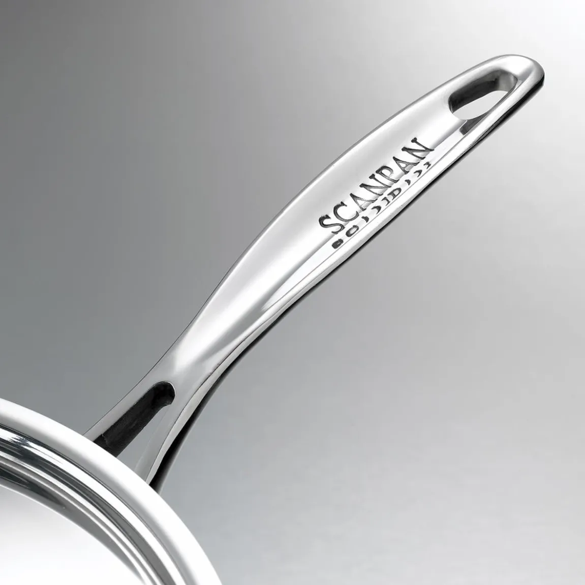 Stekpanna Scanpan Fusion 5 Ø24cm