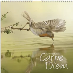Väggkalender Burde 1721 Carpe Diem 2027