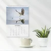 Väggkalender Burde 1786 Fåglar 2027