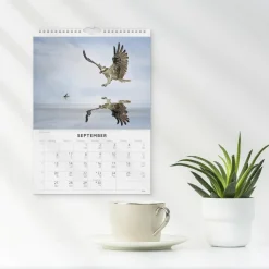 Väggkalender Burde 1786 Fåglar 2027
