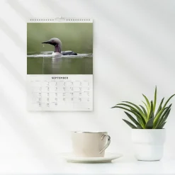Väggkalender Burde 1786 Fåglar 2027