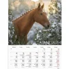Väggkalender Burde 1776 Hästar 2027