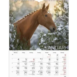 Väggkalender Burde 1776 Hästar 2027