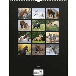 Väggkalender Burde 1776 Hästar 2027