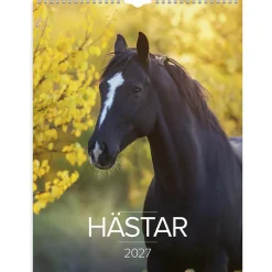 Väggkalender Burde 1776 Hästar 2027