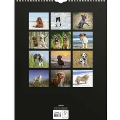 Väggkalender Burde 1777 Hundar 2027