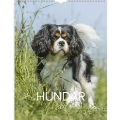 Väggkalender Burde 1777 Hundar 2027