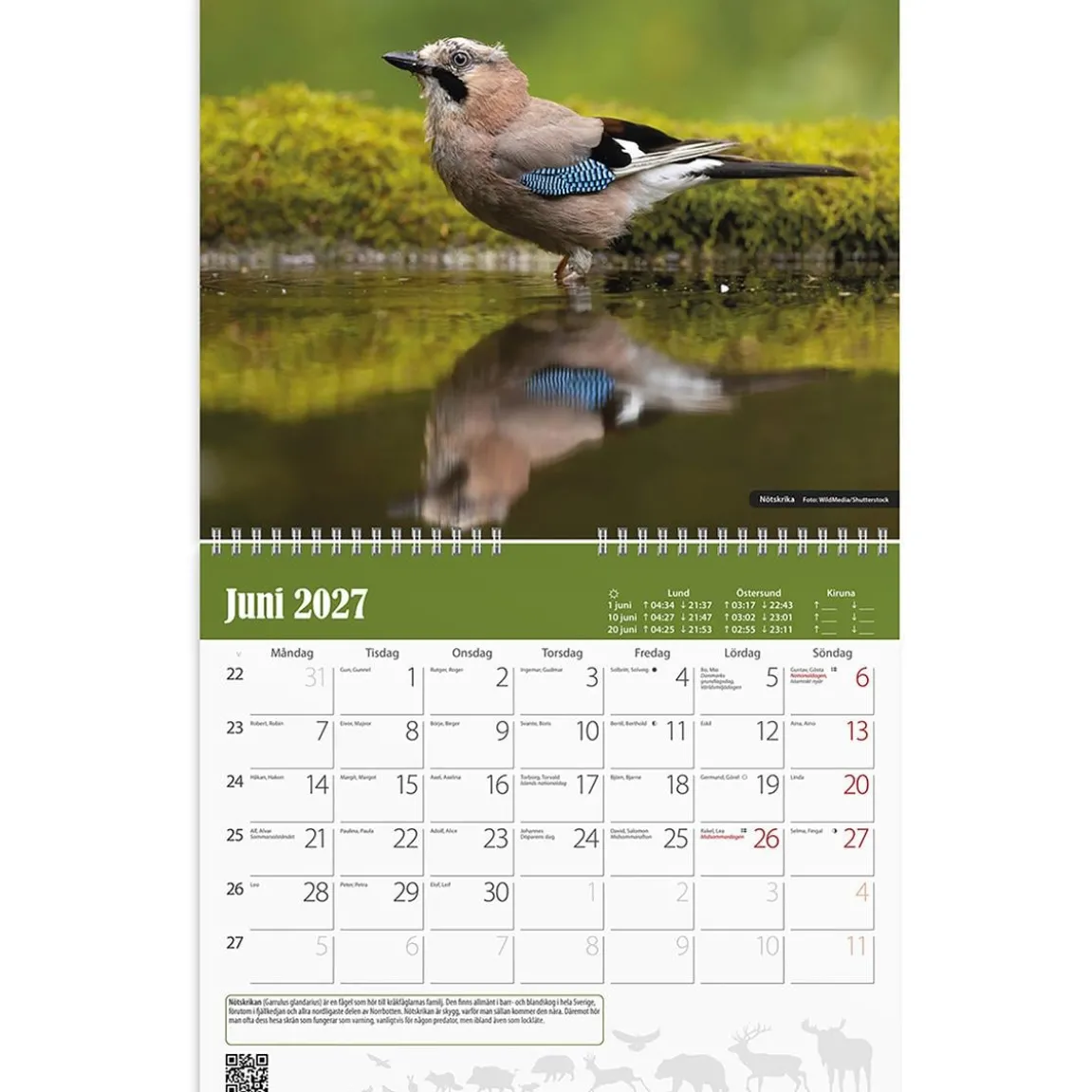 Väggkalender Burde 1738 Jaktkalender 2027