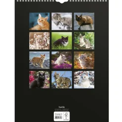 Väggkalender Burde 1775 Katter 2027