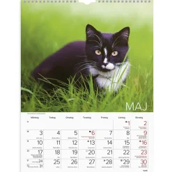 Väggkalender Burde 1775 Katter 2027