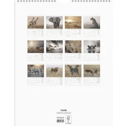 Väggkalender Burde 1761 Savannen 2027