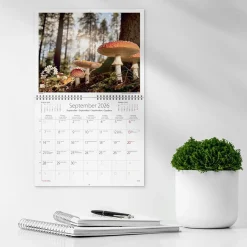 Väggkalender Burde 1735 Vår vackra skog 2027