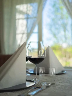 Vinglas Riedel Vinum Pinot Noir Ø108x210mm 70cl